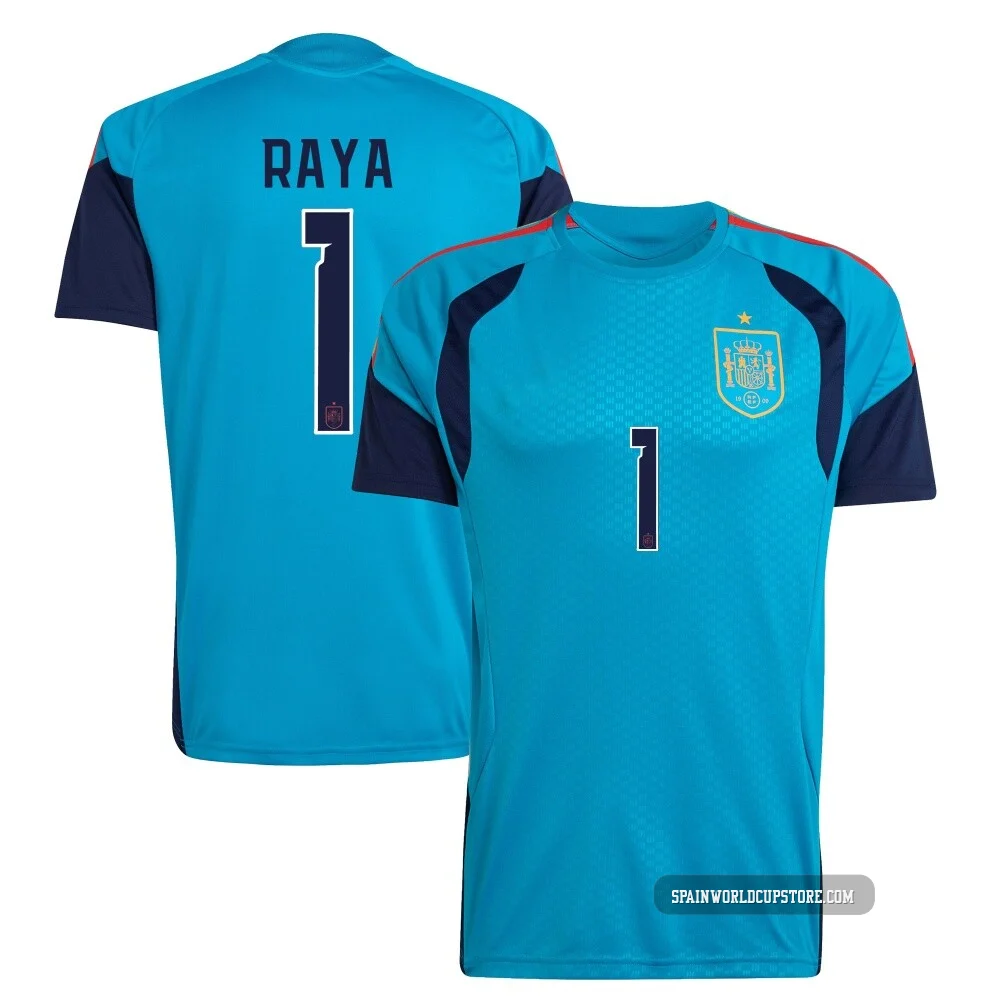 Youth David Raya Replica ＃1 Spain National Team Turquoise FIFA X World Cup 2026 Tiro Home Training Soccer Jersey